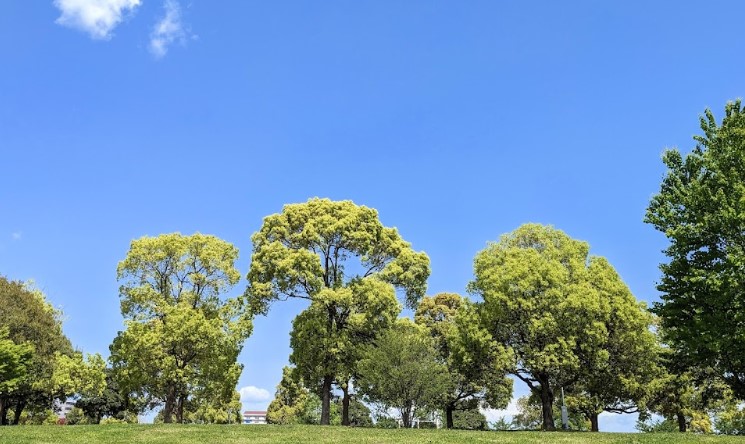 舎人公園　450m（徒歩6分）